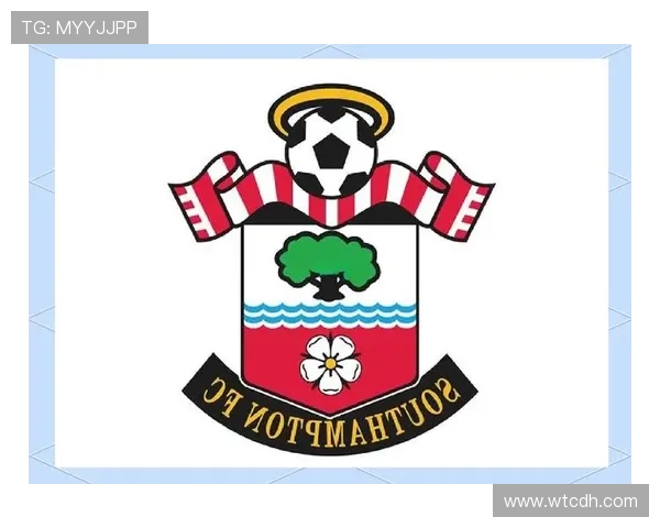 南安普顿俱乐部百年征程见证英伦足球荣耀与城市精神传承 南安普顿俱乐部百年征程见证英伦足球荣耀与城市精神传承