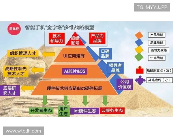 尼斯俱乐部的历史沿革与当代发展探索及未来前景分析