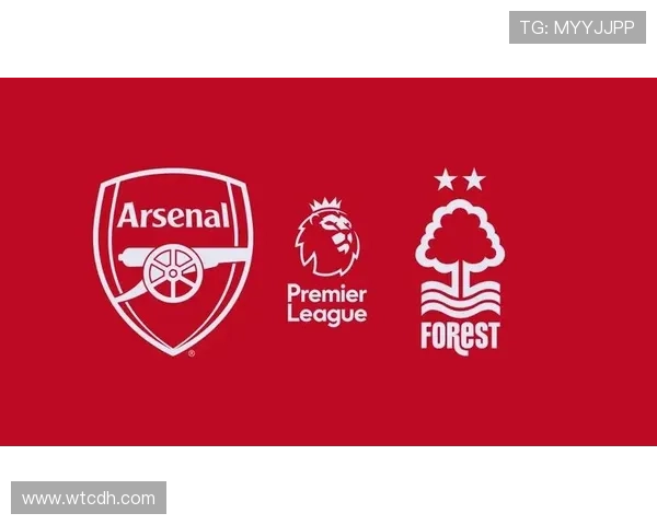 诺丁汉森林新赛季布局加速管理层引援战略全面升级冲击英超中游目标明确