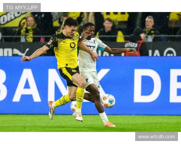 霍芬海姆1899俱乐部发展历程与现代德甲足球文化影响力解析